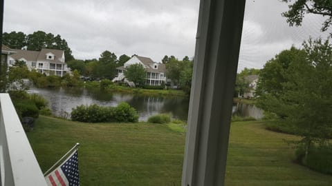 Sun Porch View

