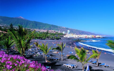 Studio, Smoking, Patio | Beach | Beach nearby