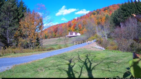 Amazing views in the fall. An elk may even amble by to see the leaves.