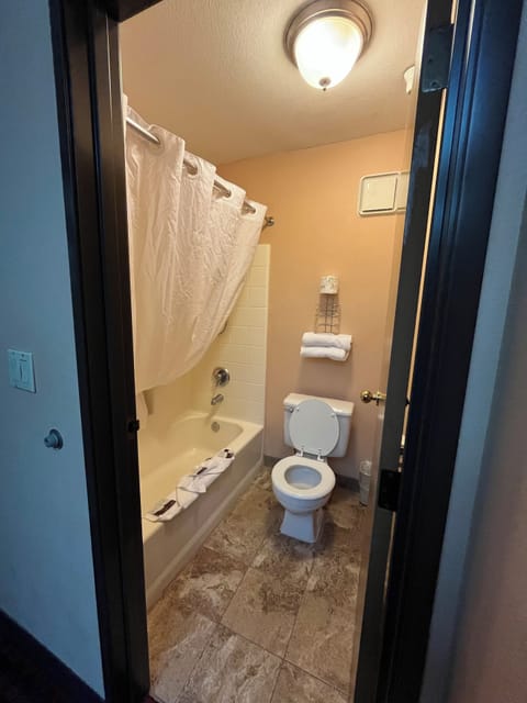 Combined shower/tub, free toiletries, hair dryer, towels