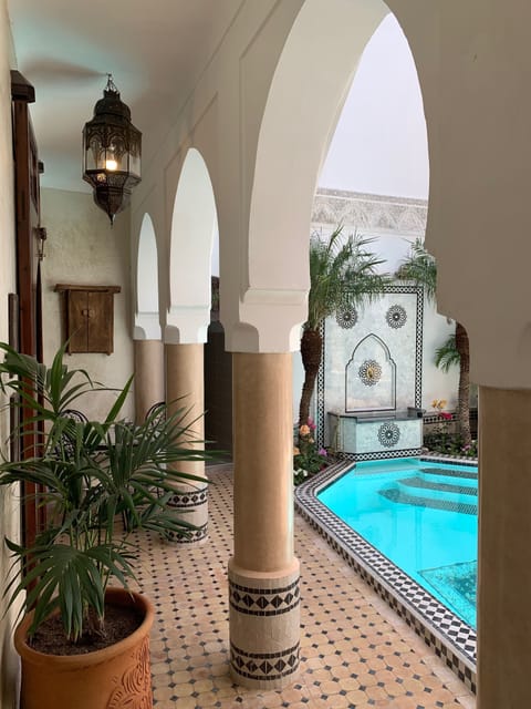 Indoor pool, sun loungers