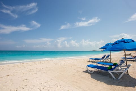 White sand, free beach shuttle, sun loungers, beach umbrellas