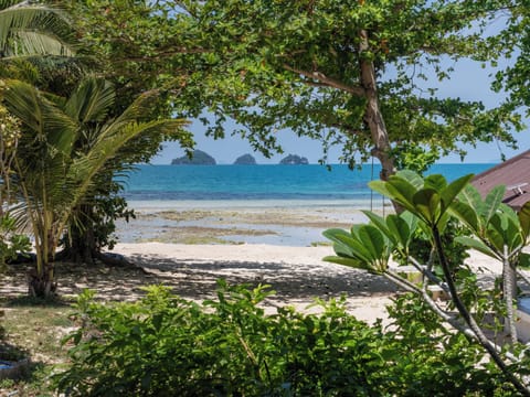 Deluxe Bungalow, Balcony, Ocean View | View from room
