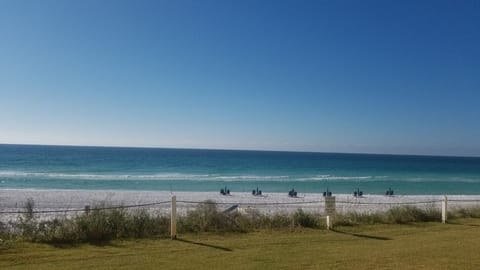 View from Patio