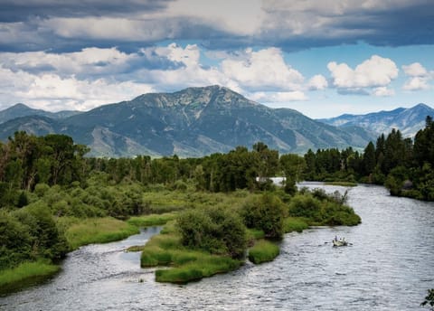 Snake River with Mount Baldy in the background