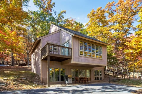 Welcome to The Looking Glass 