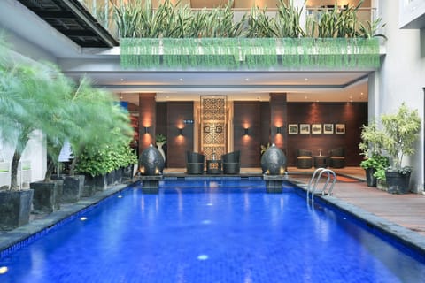 Outdoor pool, sun loungers