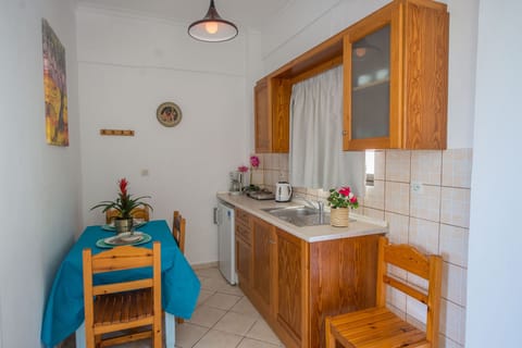 Spiros and Polyxeni Apartment 1 Afionas Kitchen And Dining Area