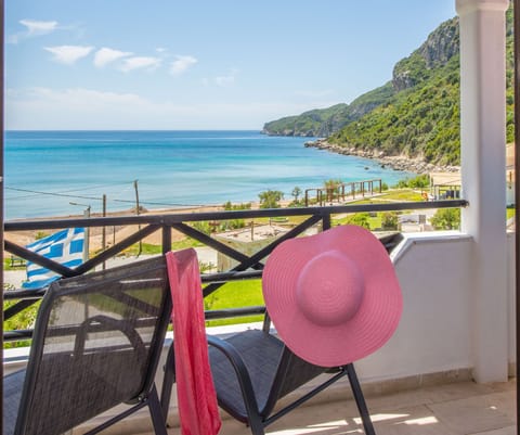 Spiros and Polyxeni Apartment 6 Afionas Balcony