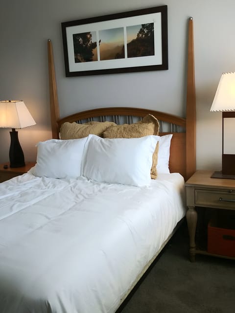 2nd bedroom Queen bed with 43" wall mounted ROKU television. Stylish southwest decor and ceiling fan. 
