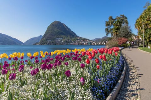 Mount San Salvatore view from Ciani Park
