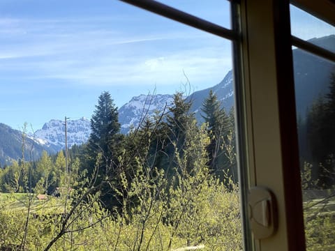 View from kitchen in spring