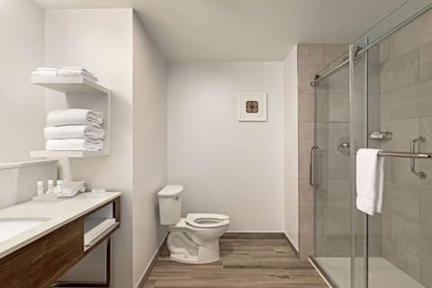 Room, 1 King Bed, Accessible, Bathtub (Mobility & Hearing) | Bathroom shower