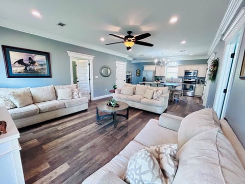 Beautiful open concept living room and kitchen