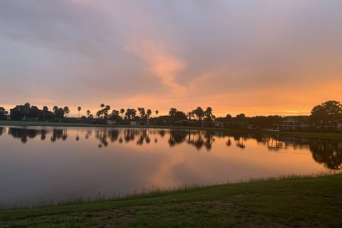 Take a seat and get ready for Sunset Scenes!