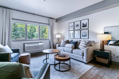 Mountain View with Lots Of Natural Light