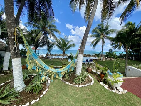 One of 3 hammocks just for guests of the One Love Shack right off your terrace.