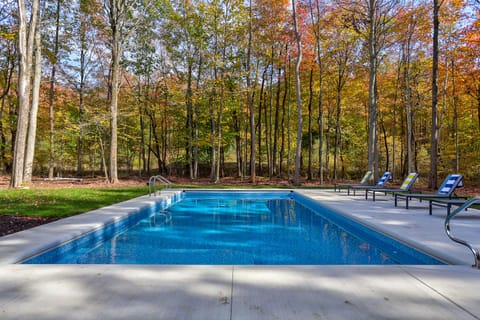 18x36 heated salt water pool (with auto safety cover)