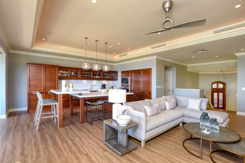 Open flow Kitchen and Living Room