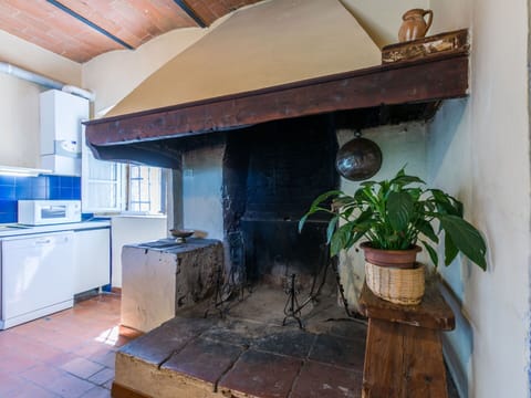 Plant, Property, Flowerpot, Cabinetry, Houseplant, Building, Wood, Interior Design, Architecture, Countertop