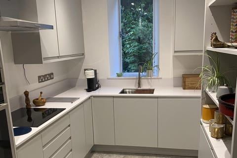 Apartment | Private kitchen | Fridge, microwave, oven, stovetop