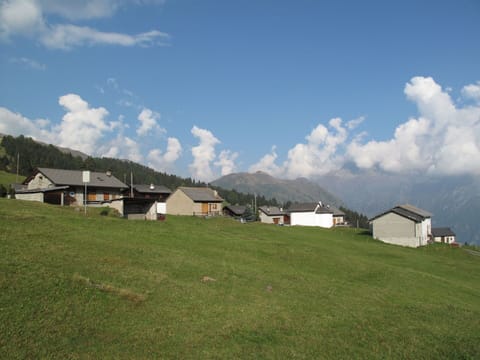 Table, Plant, Tableware, Furniture, Sky, Property, Chair, Outdoor Furniture, Outdoor Table, Interior Design