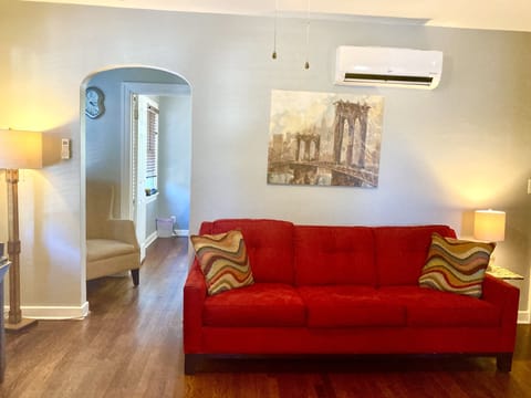 Living room with pull out couch