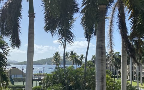 Good morning from our balcony!
