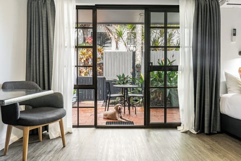 King Studio - Dog Friendly | Courtyard view