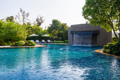 Outdoor pool, sun loungers