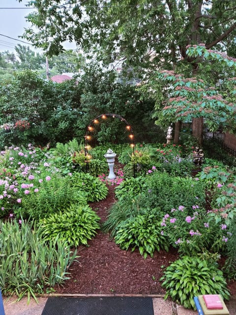 our victorian garden