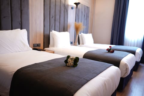 Egyptian cotton sheets, premium bedding, down comforters