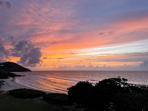 Sunset Reef 