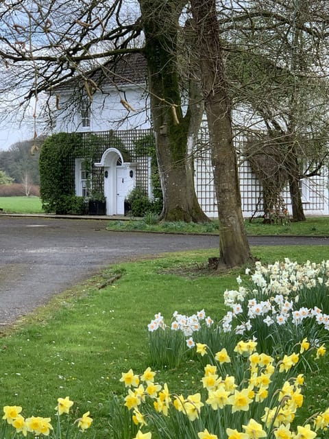 Approach to the house