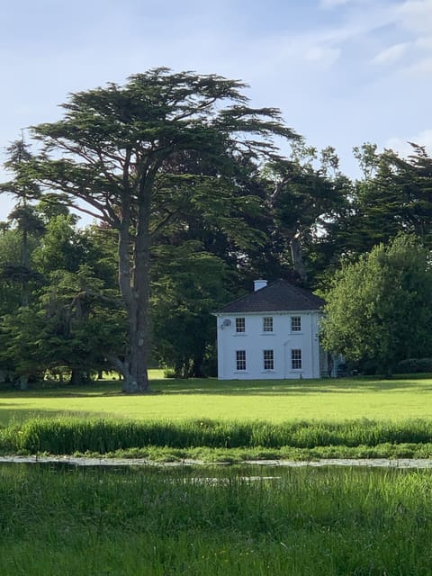 Cozy Cot from across the lake