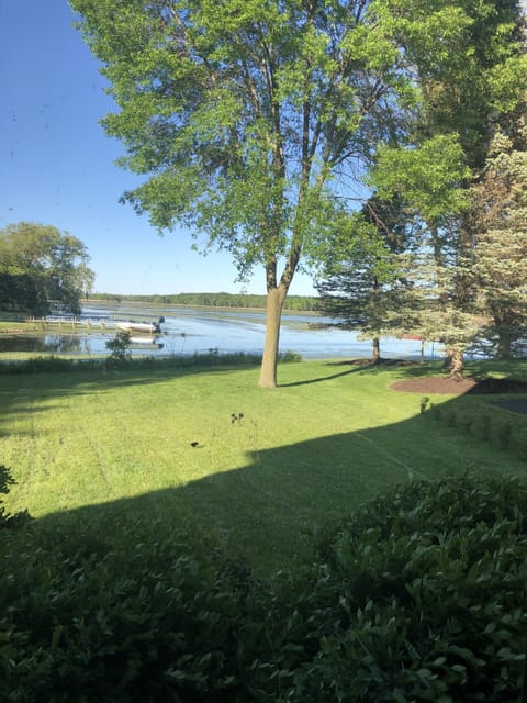 The backyard and lake frontage
