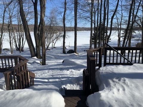 Winter view of the lake