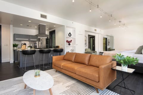 Deluxe Studio 800 sq ft | Living area | LED TV