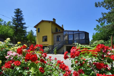 The spaces around the property