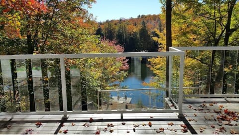Fall colours