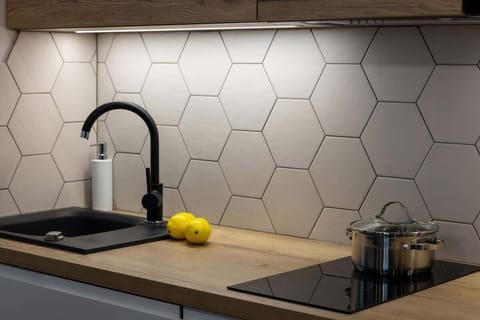 Fully equipped kitchenette with induction hob.