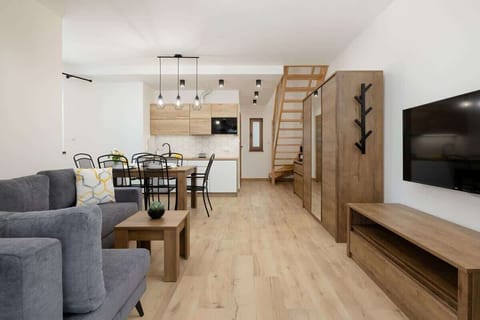 Living room with sofa bed, TV, kitchenette and access to the terrace/patio.