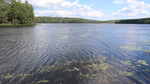 154 Acre sportsman's Pond, for fishing & boating.   Flat boards to swim off.
