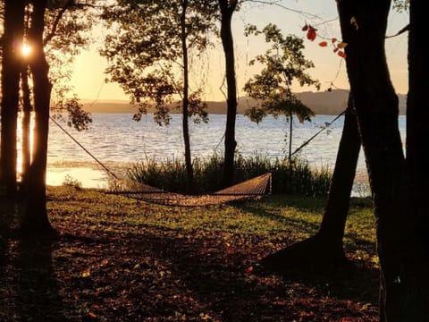 hammock
