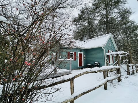 Quaint Blue Heron blanketed in a fresh winter snow. 
