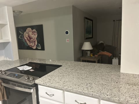 Remodeled kitchen - new appliances and countertops