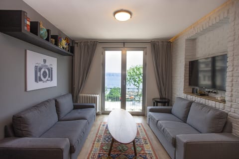 The living room - Bosphorus through the French doors