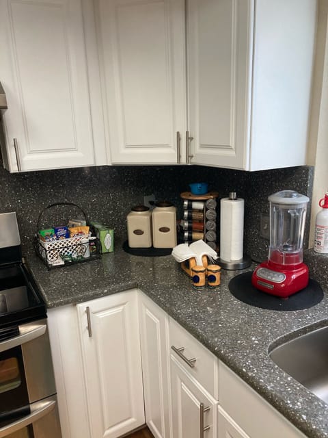 Spice rack and a blender view in the kitchen