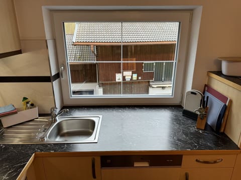 Kitchen Sink, Sink, Property, Cabinetry, Building, Countertop, Tap, Window, Plumbing Fixture, Wood