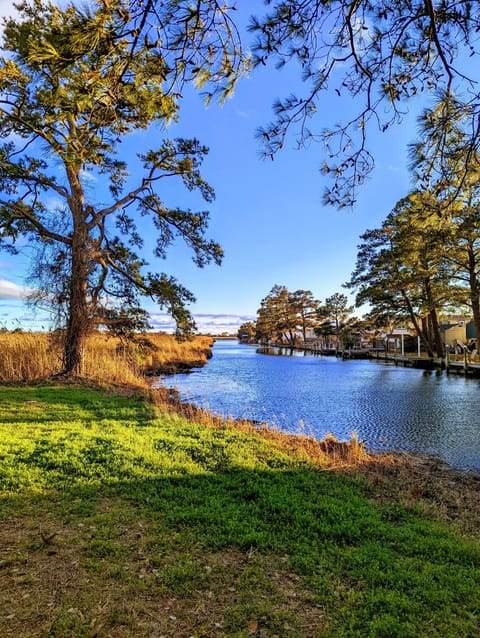 Canal in back yard